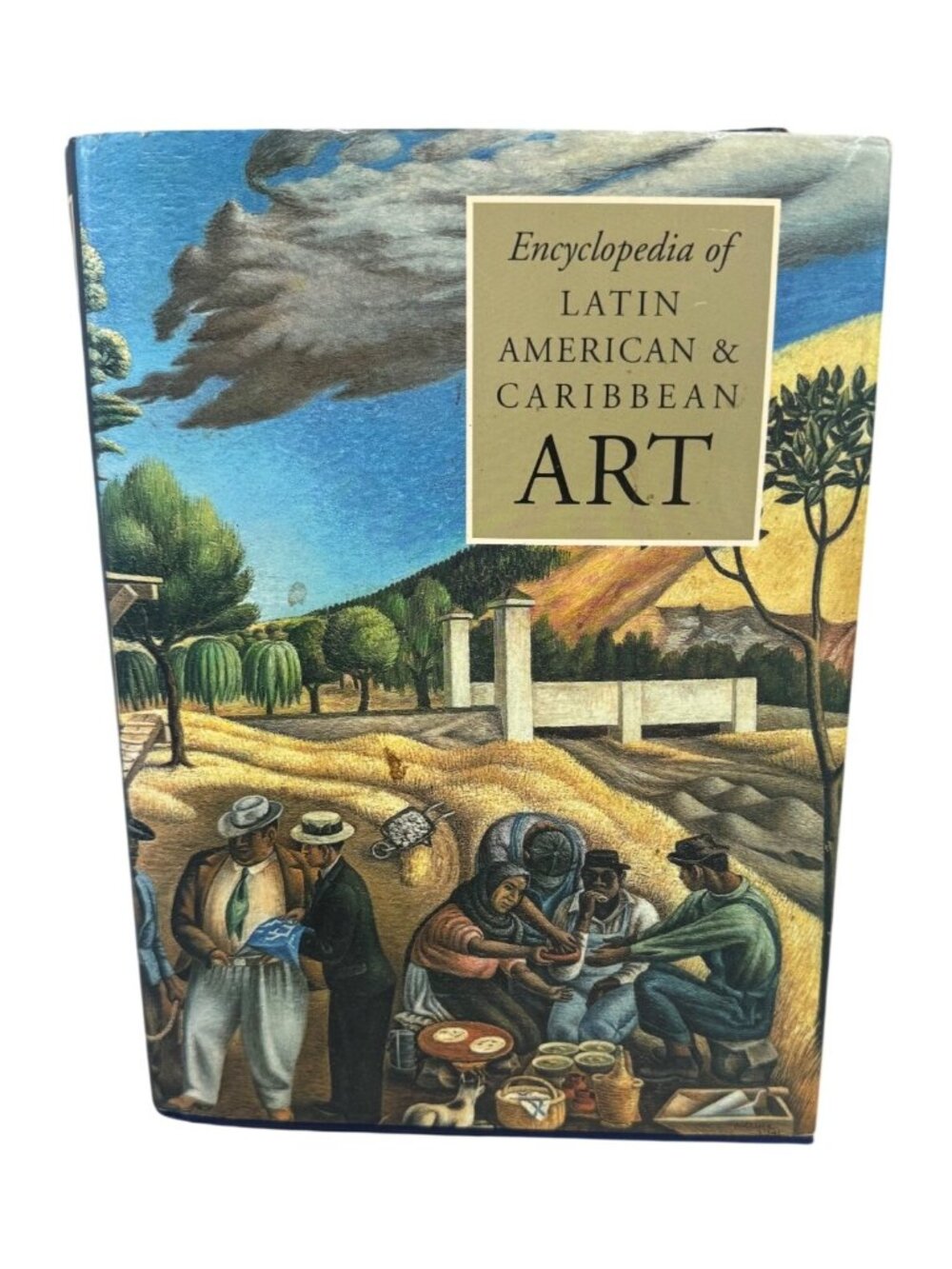 Encyclopedia Of Latin American & Caribbean Art Hardcover book Jane Turner READ